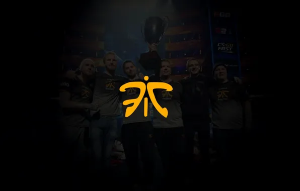 Logo, арена, team, exclusive, кубок, CSGO, fnatic, cs go