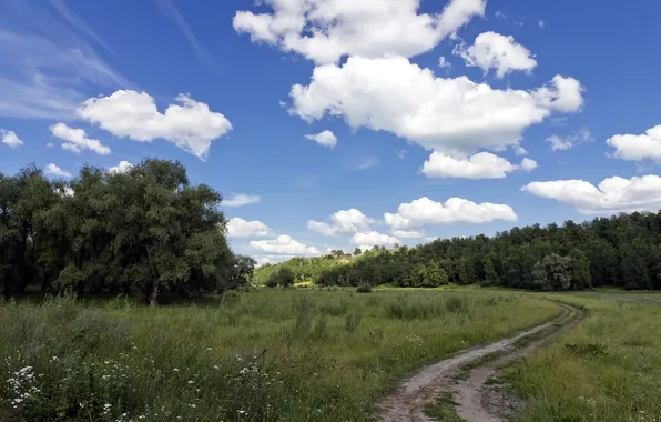 Дорога, поле, пейзаж