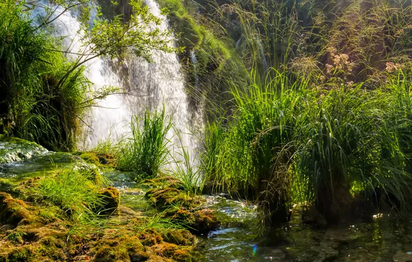 Трава, водопад, мох, солнечно, кусты, Хорватия, Plitvice National Park