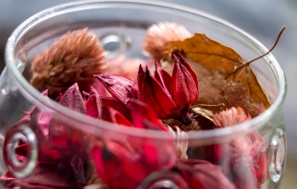 Картинка осень, стекло, листья, цветы, сухие, банка, баночка