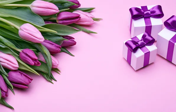 Букет, подарки, тюльпаны, love, розовые, бант, fresh, pink
