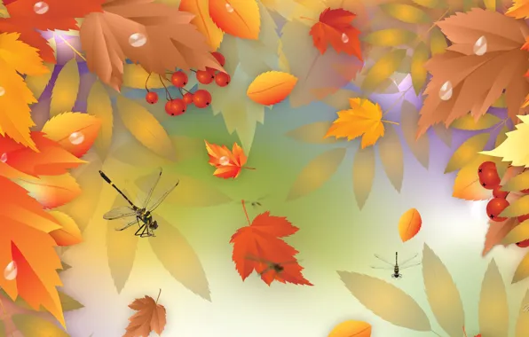 Картинка осень, листья, ягоды, вектор, стрекоза