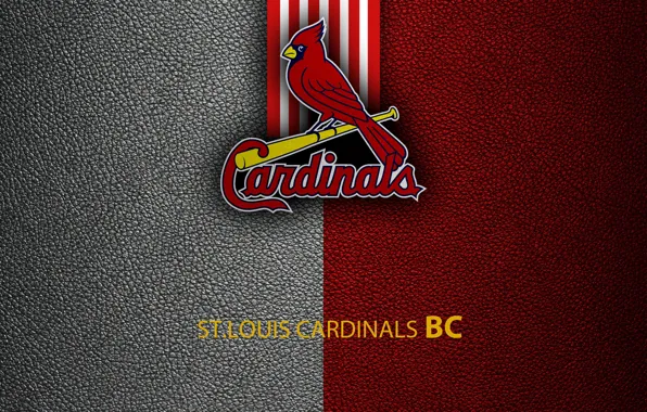 Wallpaper, sport, logo, baseball, St. Louis Cardinals