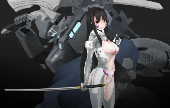 Sword, mecha, boobs, anime, ken, blade, tits, manga