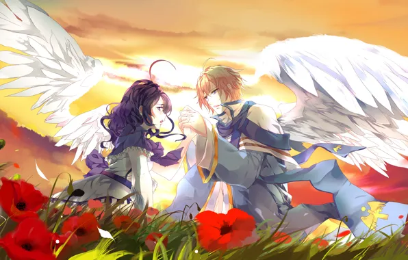 Картинка девушка, закат, цветы, поляна, крылья, парень, Двое, влюбленные