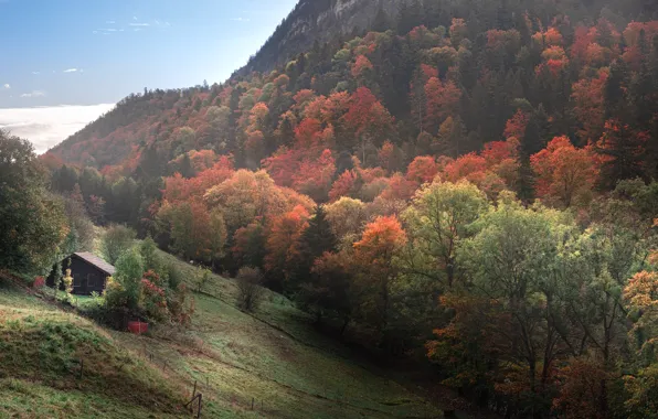 Осень, Деревья, Гора, Дом, House, Холм, Mountain, Autumn