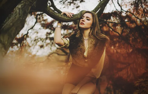 Глаза, дерево, волосы, губы, sexy, eyes, tree, lips