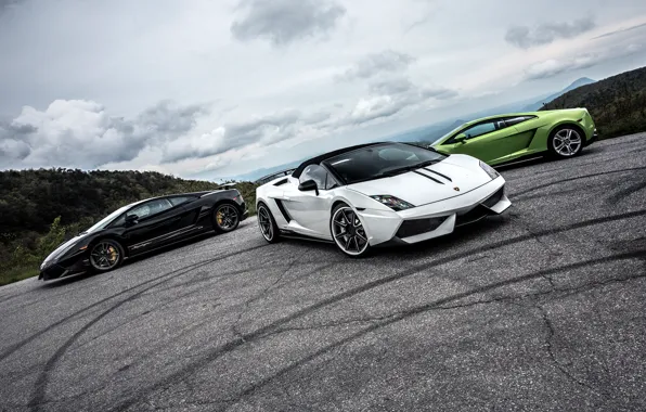 Картинка green, Lamborghini, white, gallardo, black, spyder, LP570-4, superleggera