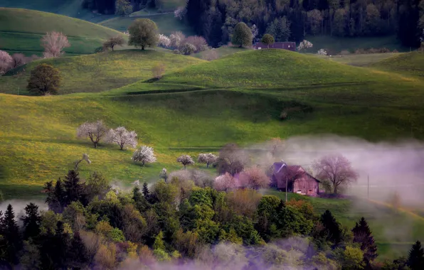 Картинка деревья, туман, холмы, дома, весна