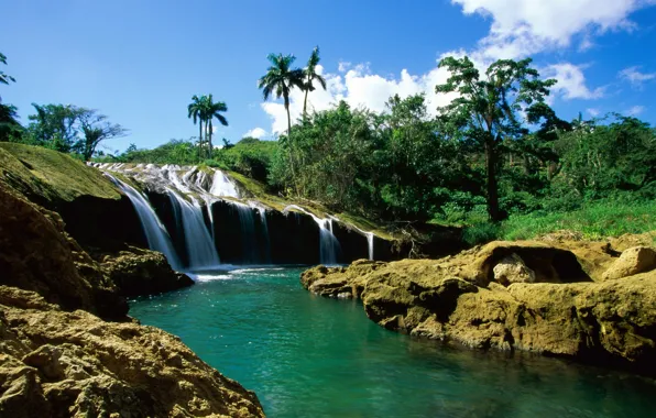 Картинка река, пальмы, водопад