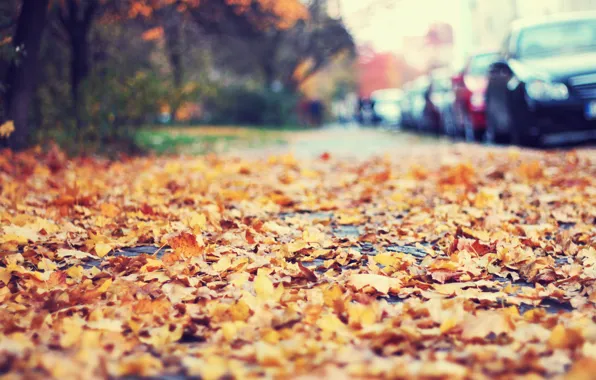 Картинка осень, листья, обочина, автомобили