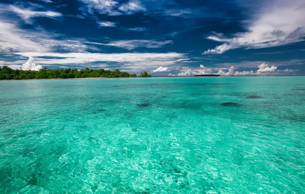 Море, пляж, небо, вода, облака, деревья, тропики, синева