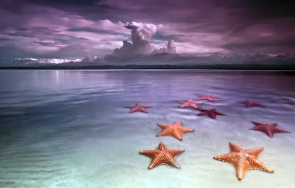 Картинка море, пляж, небо, облака, берег, морские звезды