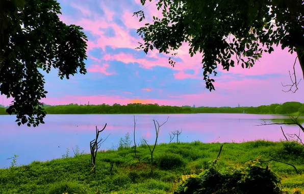 Sky, Sun, Water, Sunrise, Dawn, Morning, Lake, Trees