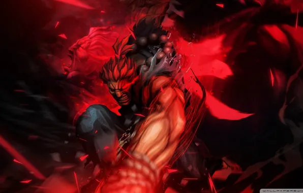 Fighter, ultra, street, super, akuma