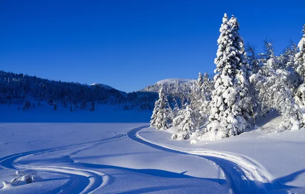 Зима, снег, пейзаж