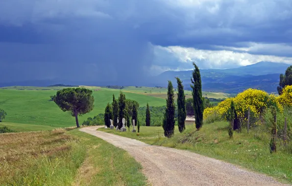 Картинка облака, цветы, дождь, поля, дороги, Италия, сельская местность, Тоскана