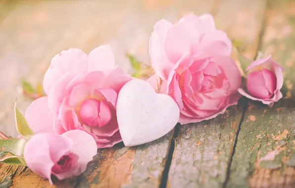 Розы, лепестки, love, heart, pink, flowers, romantic, roses
