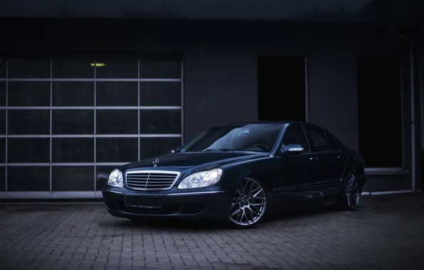 Картинка Fox, Mercedes, Black, Sedan, S500, W220, Business