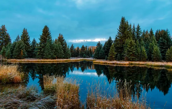 Картинка иней, осень, лес, трава, деревья, озеро, Вайоминг, США