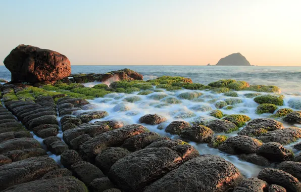 Море, водоросли, камни