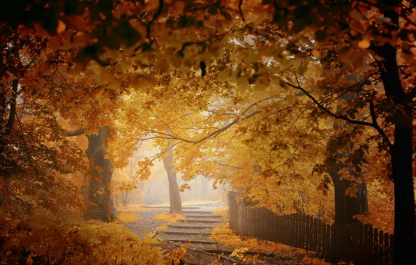 Картинка осень, деревья, город