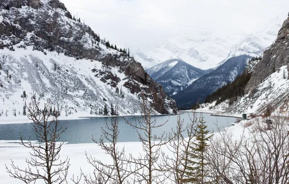 Winter, Landscape, Water, Mountain, Snow, Sea, Trees, Jess Aston