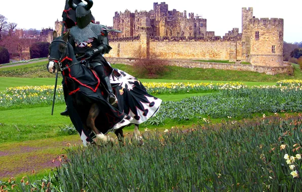 Картинка поле, замок, доспехи, рыцарь, копьё, латы, лощадь, трава. цветы