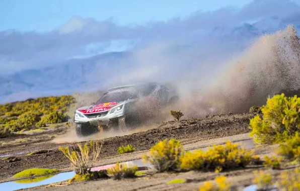 Вода, Спорт, Скорость, Гонка, Peugeot, Брызги, Фары, Red Bull