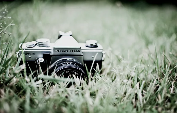Зелень, трава, макро, природа, фото, фон, обои, фотоаппарат