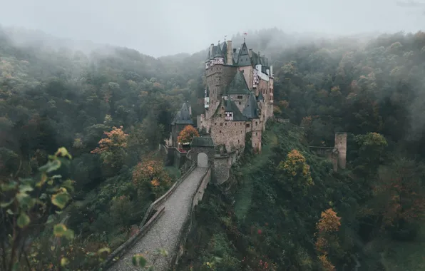 Осень, лес, деревья, замок, Германия