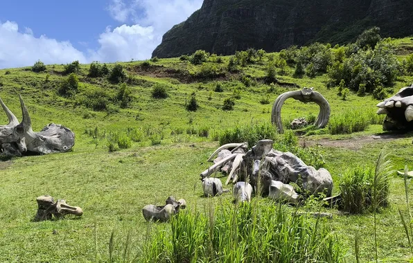 Hawaii, Oahu, Kong, Kong Skull Island