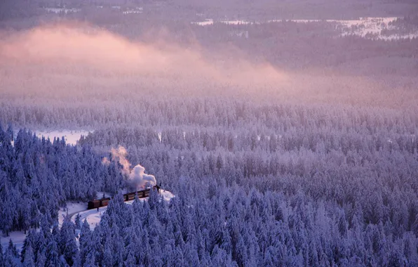 Зима, дорога, лес, поезд, Германия, Саксония-Анхальт