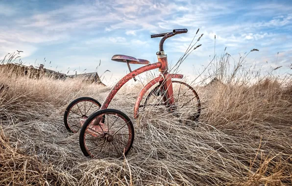 Картинка трава, велосипед, фон
