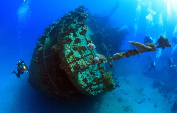 Картинка вода, кораллы, аквалангист, дайвинг, морское дно, water, diving, дайвер