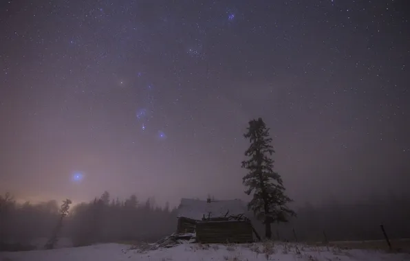 Картинка небо, звезды, туман, дом, дерево