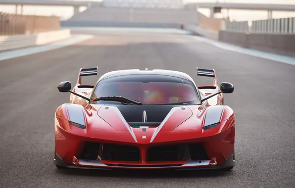 Ferrari FXX-K, Ferrari, front, FXX