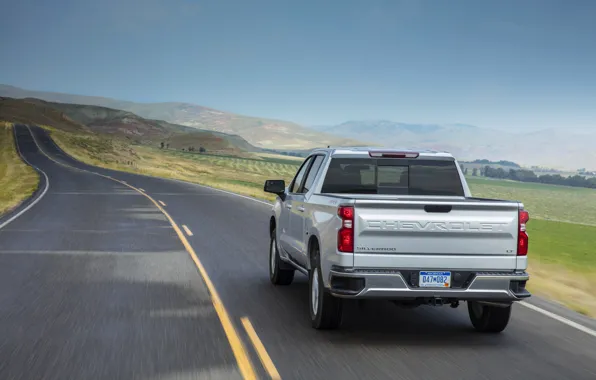 Chevrolet, вид сзади, пикап, Silverado, 2019, Silverado LT