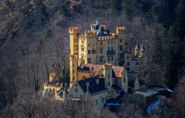 Горы, замок, башня, Германия, Хоэншвангау