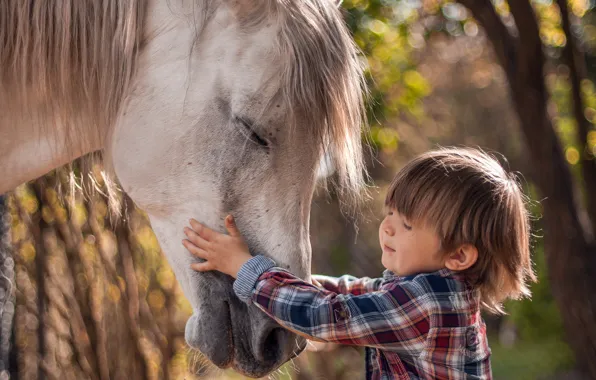 Картинка настроение, конь, мальчик