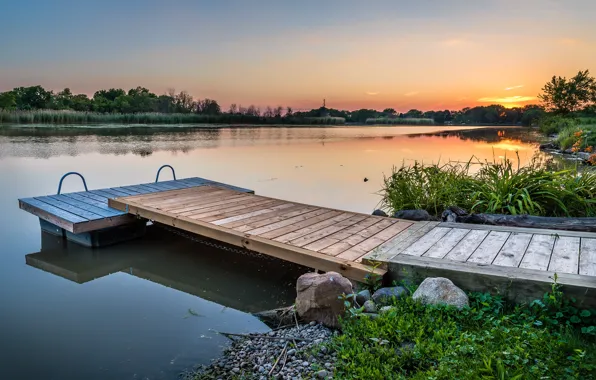 деревянный мостик над водой в зелёных камышах на берегу фотография Stock | Adobe Stock
