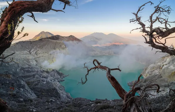 Картинка небо, деревья, горы, туман, озеро