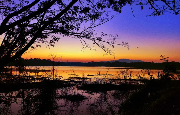Sun, Water, Sunrise, Dawn, Morning, Lake, Trees, Reflection