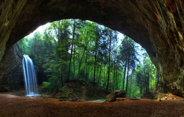 Forest, trees, landscape, nature, photo, water, rocks, sand