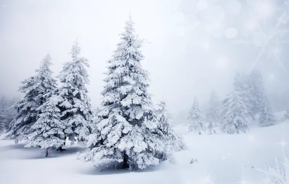 Зима, снег, деревья, пейзаж, снежинки, природа, фон, елки