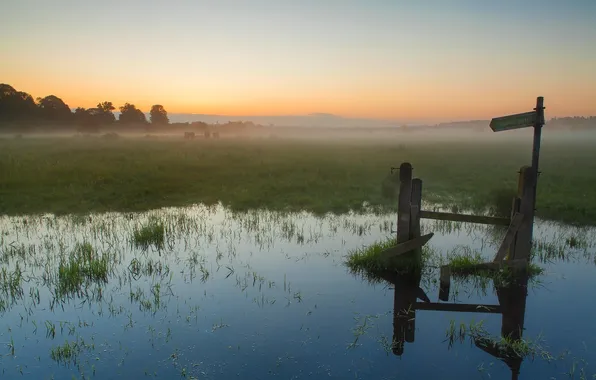 Картинка трава, вода, солнце, деревья, туман, болото, утро, указатель