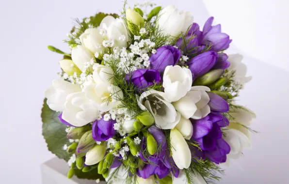 Букет, белая, фиолетовая, фрезия, Bouquets, Freesia