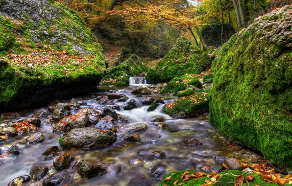 Картинка осень, лес, листья, река, ручей, камни, валуны