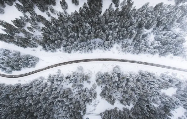 Картинка зима, дорога, лес, Швейцария, Switzerland, зимняя дорога