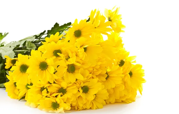 Цветы, букет, желтые, хризантемы